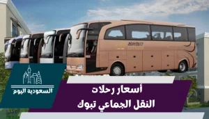 أسعار رحلات النقل الجماعي تبوك